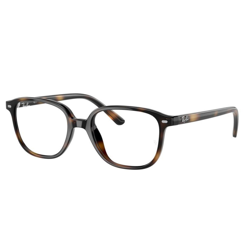 LEONARD JR RY 9093V