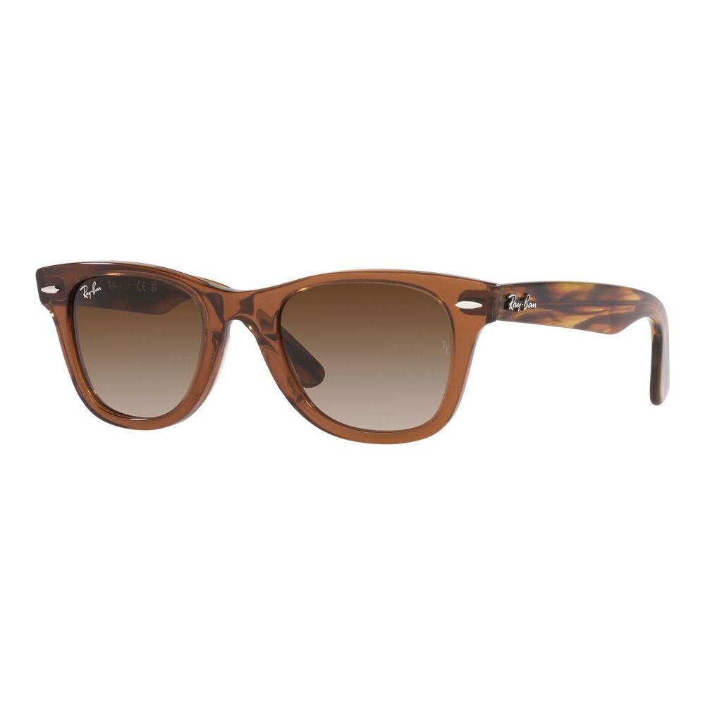 ORIGINAL WAYFARER JUNIOR RJ 9066S