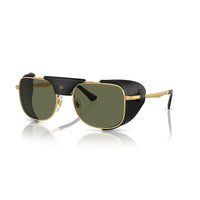 PO 1013SZ